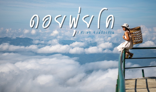 cover ดอยพุ่ยโค ขุนเขาแห่งทะเลหมอก