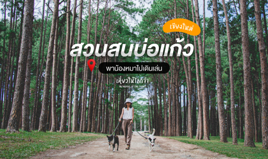 cover พาน้องหมาไปเดินเล่นสวนสนบ่อแก้ว