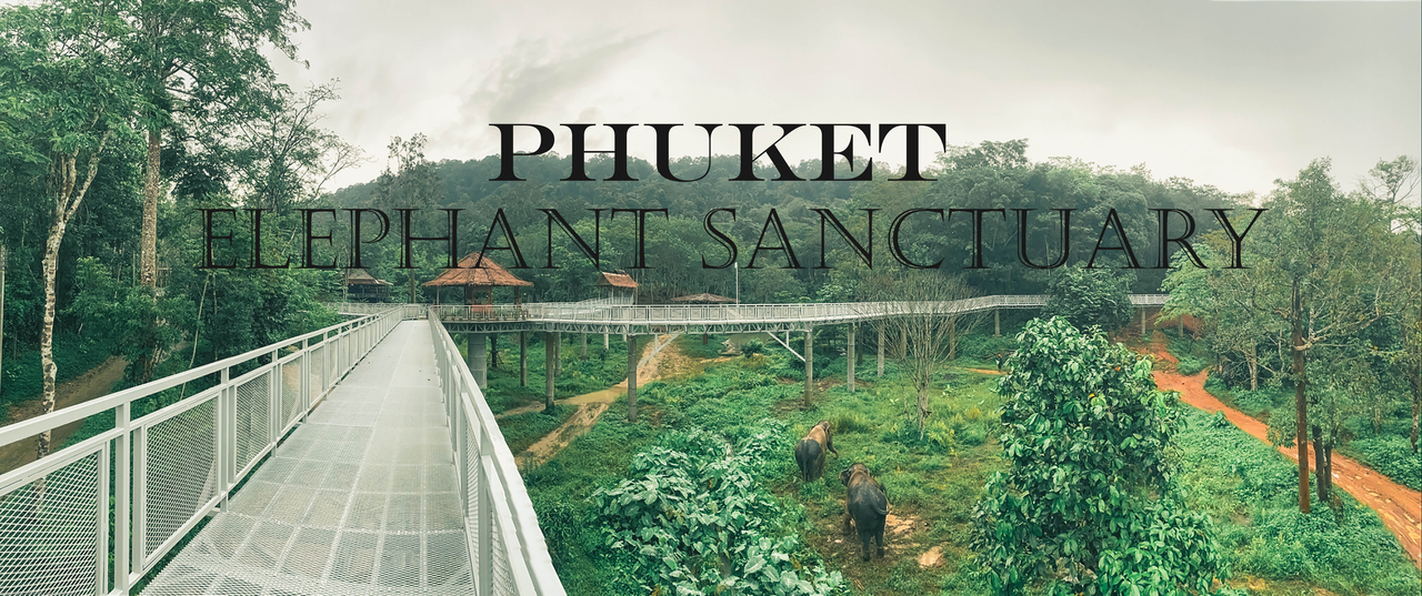 cover Phuket Elephant sanctuary and Canopy Walkway.