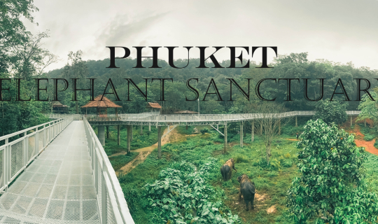 cover Phuket Elephant sanctuary and Canopy Walkway.