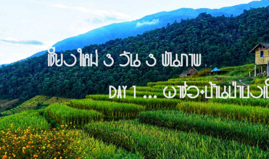 cover เชียงใหม่ 3 วัน 3 พัน (ภาพ) Day 1  คาเฟ่โรงบ่ม>>ผาช่อ>>บ้านป่าบงเปียง