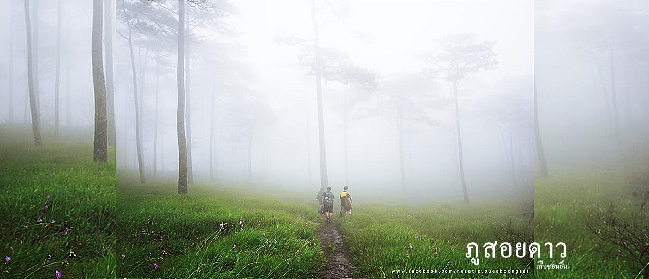 cover เเบกเป้ขึ้นภูสอยดาว