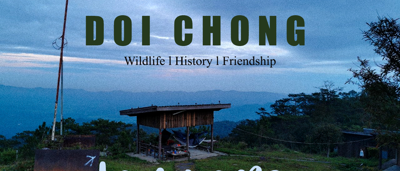 cover เดินป่าที่ดดอยจง 2 วัน 1 คืน