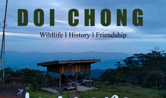 cover เดินป่าที่ดดอยจง 2 วัน 1 คืน