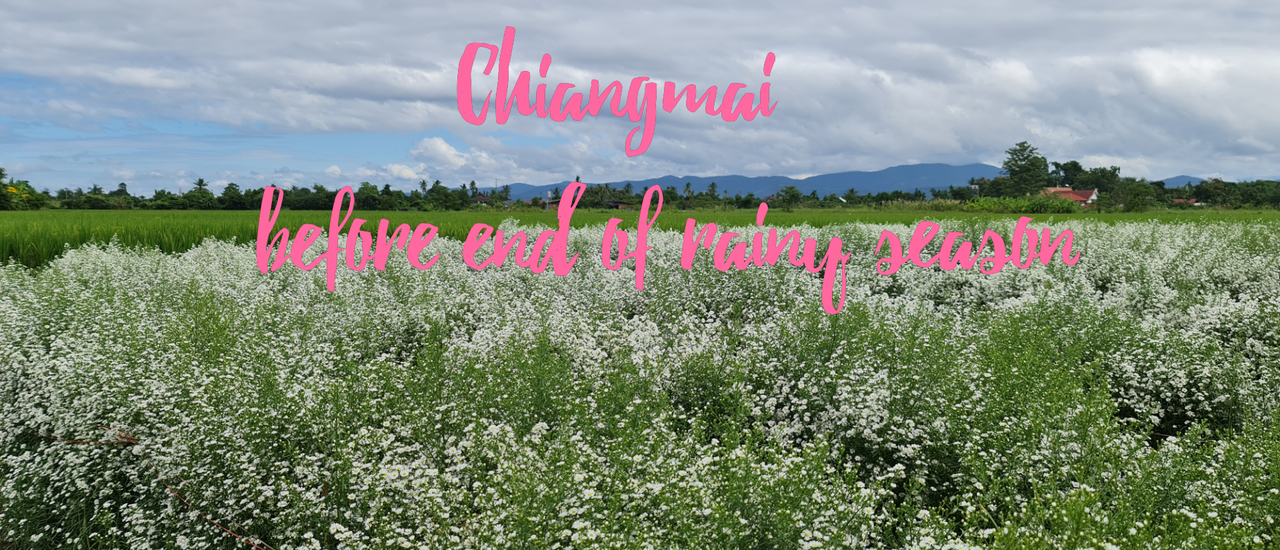 cover Chiangmai before end of rainy season