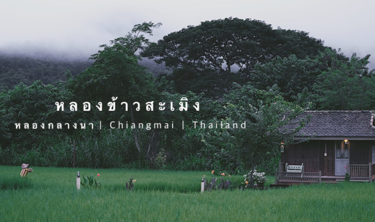 Cover นอนกลางนา ที่ หลองข้าวสะเมิง...