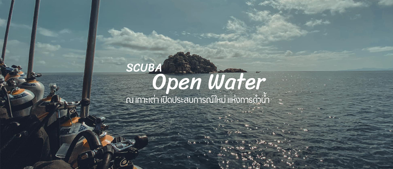 cover ดำน้ำ Scuba Open Water เกาะเต่า มาแล้วจะรู้ ใต้น้ำมันมีอะไรให้ดูเยอะแยะ