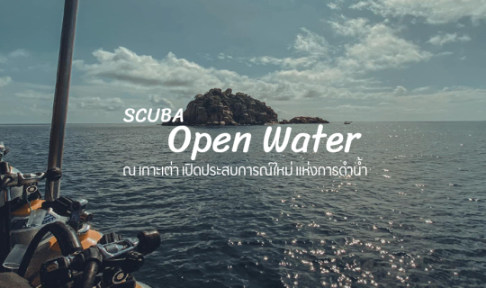 Cover ดำน้ำ Scuba Open Water เกาะเต่า มาแล้วจะรู้ ใต้น้ำมันมีอะไรให้ดูเยอะ...