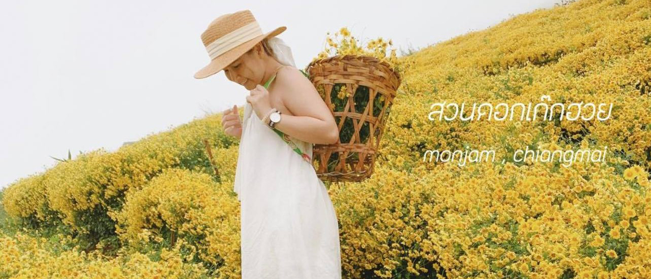 cover สวนดอกเก๊กฮวยม่อนแจ่ม มันแจ่มมากมาก