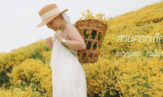 Cover สวนดอกเก๊กฮวยม่อนแจ่ม มันแจ่มมากมาก...