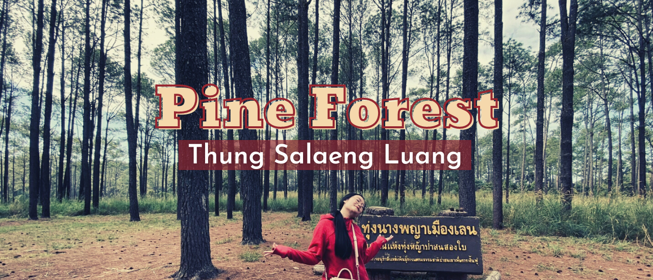 cover EP.5 นอนเต้นท์เขาค้อ เที่ยวทุ่งนางพญาเเสลงหลวง รวมทุกอย่าง 2 พันก็พอ !!!