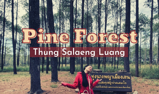 Cover EP.5 นอนเต้นท์เขาค้อ เที่ยวทุ่งนางพญาเเสลงหลวง รวมทุกอย่าง 2 พันก็พอ...