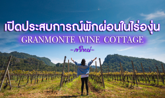 cover เปิดประสบการณ์ นอนในไร่องุ่น เขาใหญ่ ณ กราน มอนเต้ Grand Monte Vineyard and Winery