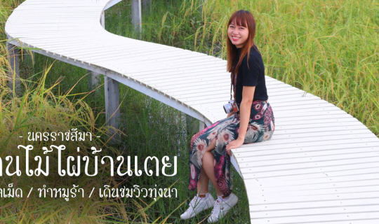 cover สะพานรักบ้านเตย นครราชสีมา: ชมวิวทุ่งนา หมักหมูร้า ชิมขนมตาลเม็ด ทำอาหารพื้นถิ่นโคราช