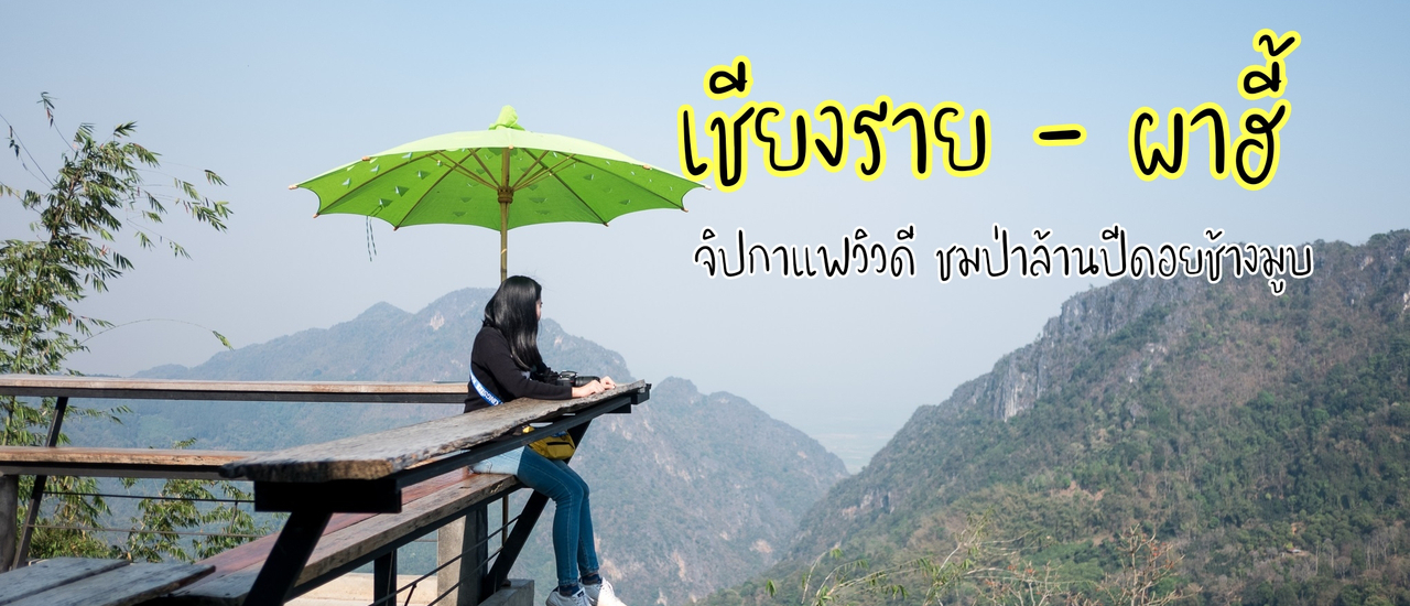 cover Check in เชียงราย I ชิมกาแฟวิวดีที่ผาฮี้ ไหว้พระธาตุดอยตุง สัมผัสบรรยากาศป่าล้านปีที่ดอยช้างมูบ...ที่นี่ก็ดีนะ