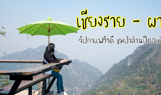 cover Check in เชียงราย I ชิมกาแฟวิวดีที่ผาฮี้ ไหว้พระธาตุดอยตุง สัมผัสบรรยากาศป่าล้านปีที่ดอยช้างมูบ...ที่นี่ก็ดีนะ