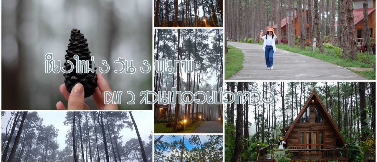 cover เชียงใหม่ 3 วัน 3 พัน (ภาพ) Day 2 บ้านป่าบงเปียง>>สวนป่าดอยบ่อหลวง