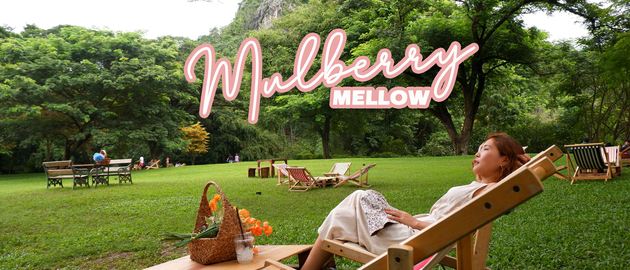 cover PICNIC in the Backyard ที่ Mulberry Mellow | กาญจนบุรี