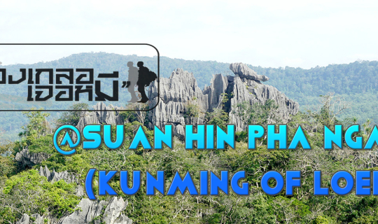 Cover ไปเลย ไปเลย สรุปไปไหน " ก็ไปเลยไง ".......สวนหินผางาม (คุนหมิงเมืองเ...