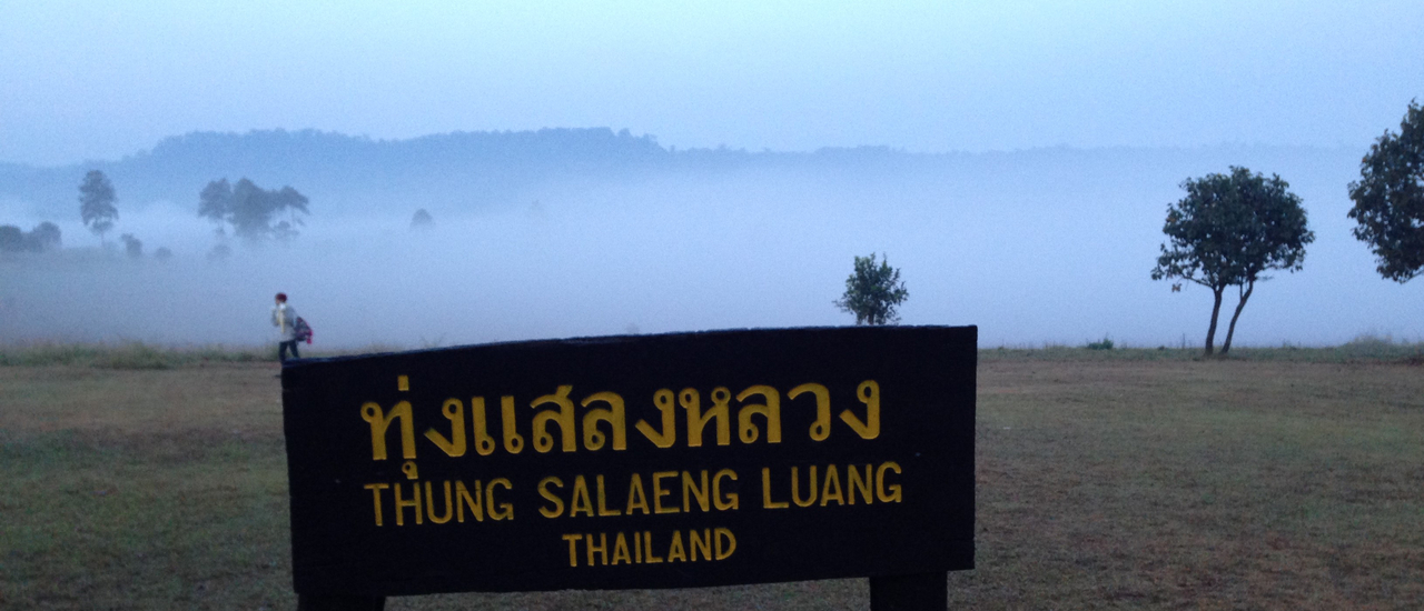 cover ทุ่งแสลงหลวง สัมผัสอากาศหนาว ชมทะเลหมอก