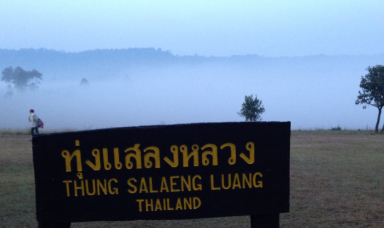 cover ทุ่งแสลงหลวง สัมผัสอากาศหนาว ชมทะเลหมอก