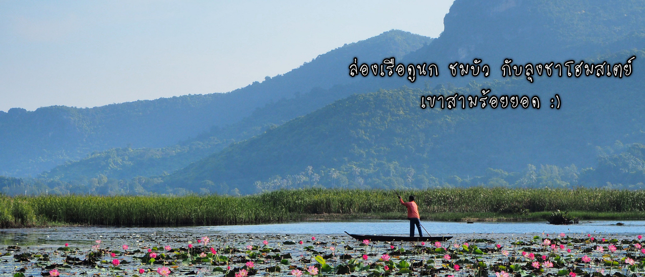 cover กำเงิน 45 บาทนั่งรถไฟไปล่องเรือดูนก ชมบัว ที่ ลุงชาโฮมสเตย์ เขาสามร้อยยอด (แบบละเอียดรับรองไม่หลง)