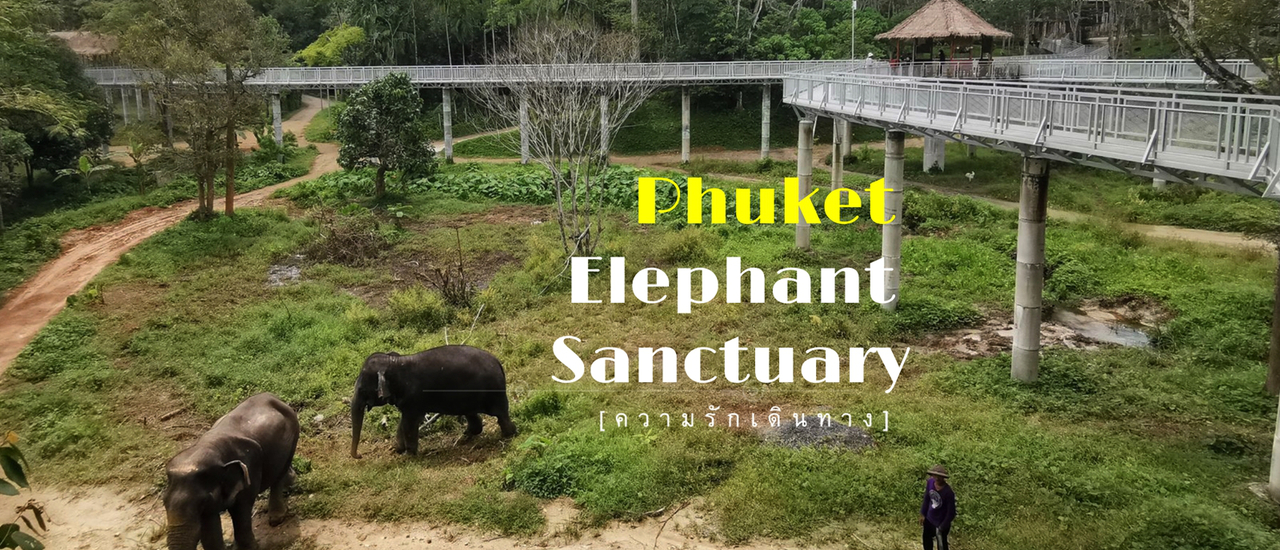 cover ชมช้าง ชมป่า บน Canopy Walkway :: Phuket Elephant Sanctuary