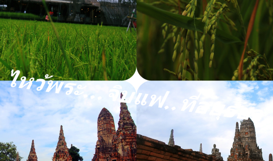 Cover ไหว้พระวัดไชยวัฒนาราม..จิบแฟรักษ์นา...