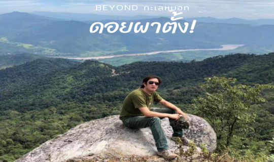 Cover ไปดูทะเลบนดอยกัน @Doi Phatang...