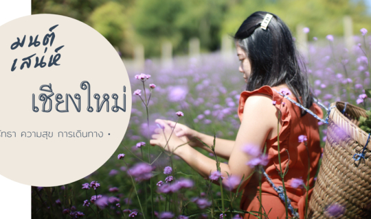 cover เสน่ห์แห่งล้านนา เชียงใหม่ ไม่กี่บาท แบบเรียลๆ