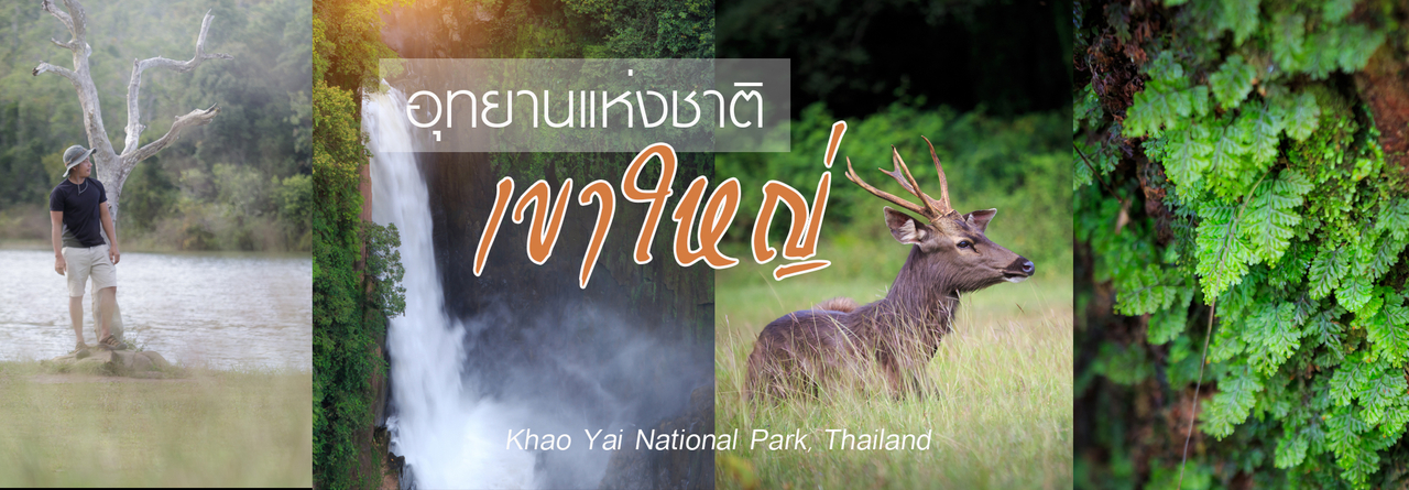 cover ออกไปกอดเมืองไทย ที่ "เขาใหญ่" มันใช่เลย