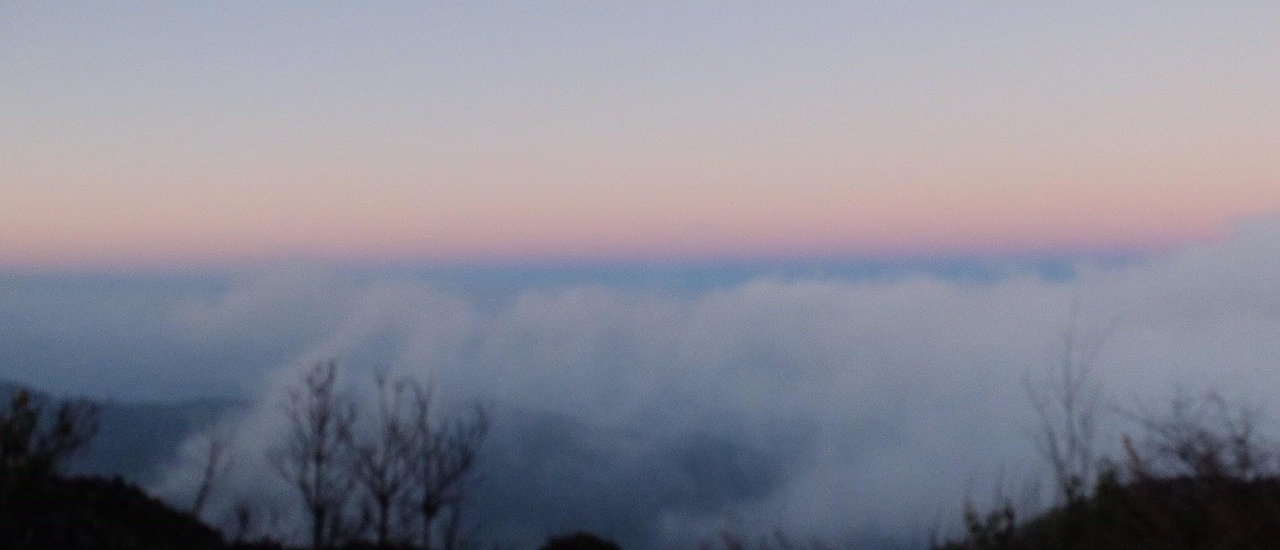 cover วันหนึ่งฉันเดินเขา ธรรมชาติบำบัด