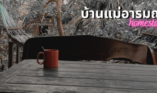 cover ทริปฉุกเฉินกับโฮมสเตย์แม่อารมณ์