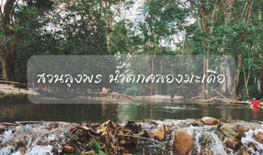cover กางเต็นท์ เล่นน้ำตก ณ สวนลุงพร