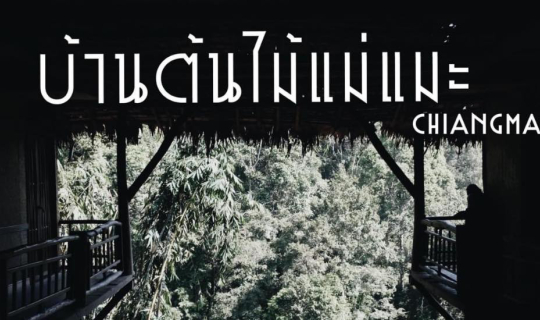 Cover บ้านต้นไม้แม่แมะ จ.เชียงใหม่...