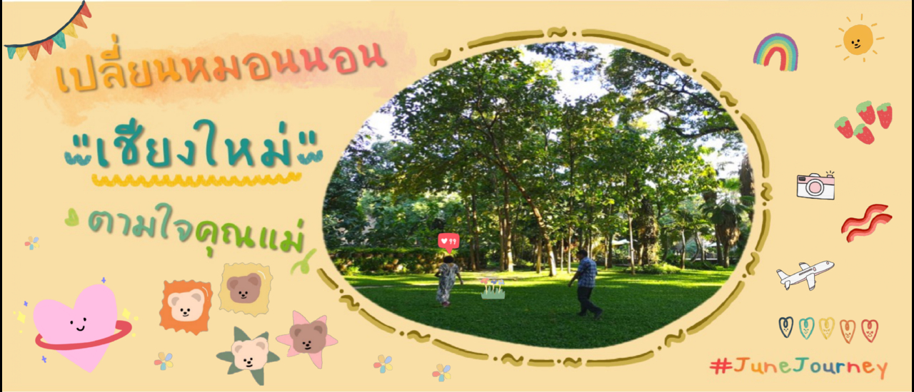 cover เปลี่ยนหมอน นอนเชียงใหม่ ตามใจแม่