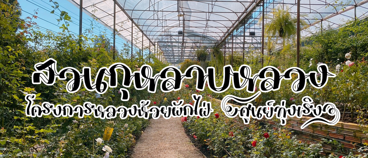 cover ทานอาหารไทย ท่ามกลางเส้นทางสายกุหลาบ @เชียงใหม่