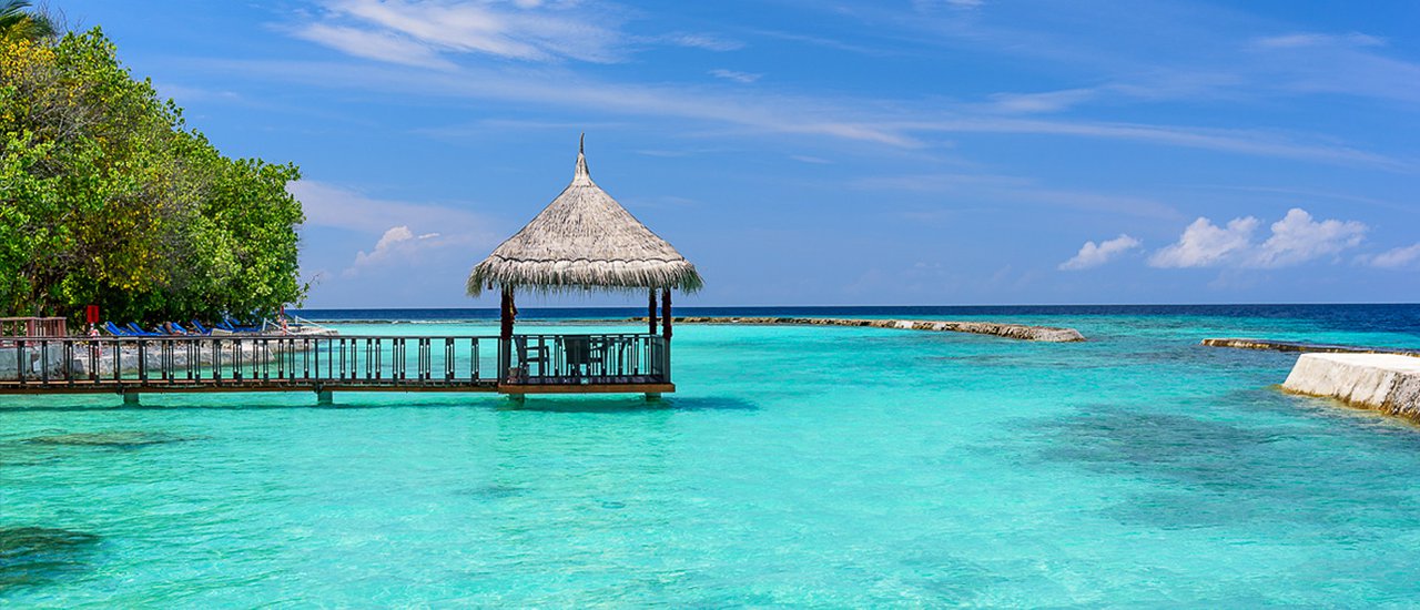cover A breathtaking destination "Maldives": Flying Seaplane, Staying in a Water Bungalow, and Surrounded by Plenty of Fish
