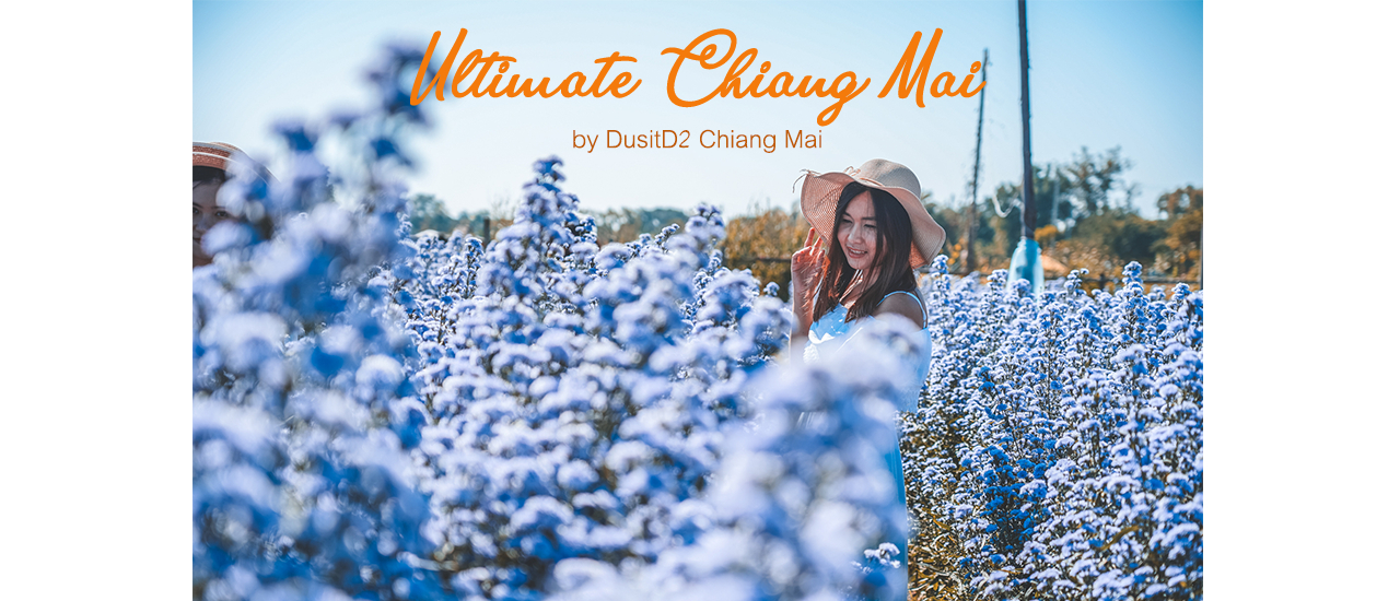 cover 10 จุดเที่ยวเชียงใหม่แนะนำ ทริป 3 วัน 2 คืน พักโรงแรมดุสิต ดีทู เชียงใหม่ (Dusit D2 Chiang Mai)