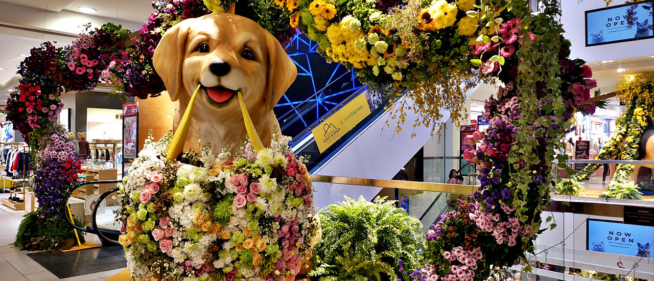 cover สัมผัสดอกไม้หลากสีสัน 6 ชั้น 6 ธีม! ใน CENTRAL ANNIVERSARY 2020 @ชิดลม