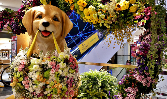 Cover สัมผัสดอกไม้หลากสีสัน 6 ชั้น 6 ธีม! ใน CENTRAL ANNIVERSARY 2020 @ช...