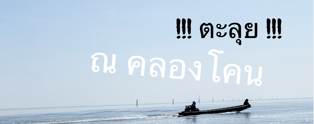 cover “ตะลุย ปลูกป่าชายเลนและเล่นสกีสุดมันส์ ณ คลองโคน”