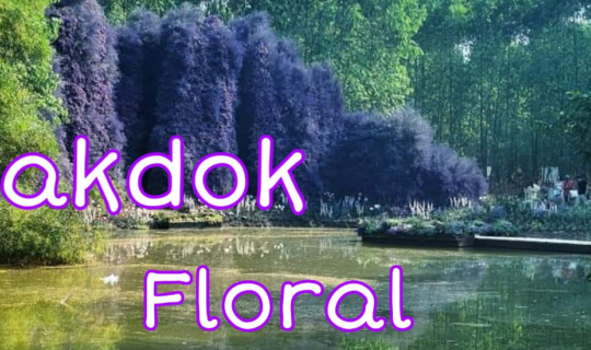 cover Rakdok Floral Destination : สายดอกไม้ สายแฟนสเคปไม่ควรพลาด