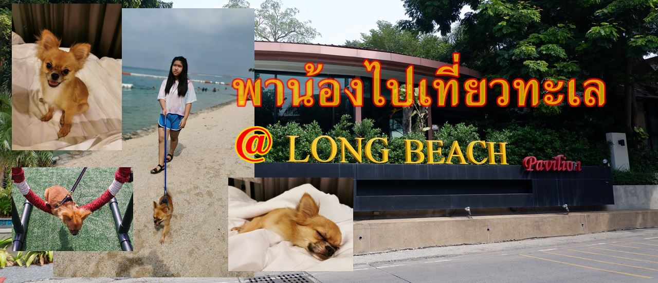 cover พาน้องหมาไปเที่ยวทะเล @ ลองบีซ พาวิลเลี่ยน & วิลล่า พัทยา (Long Beach Pavilion & Villa Pattaya)