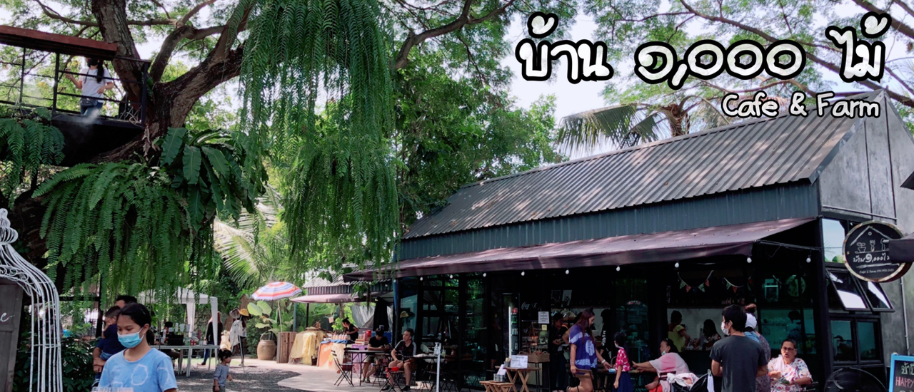 cover บ้าน ๑,๐๐๐ ไม้ คาเฟ่ที่ไม่ได้มีดีแค่ขนม