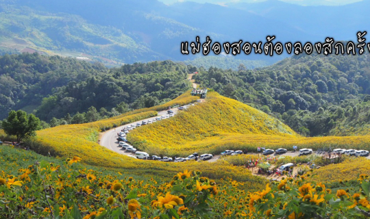 cover 2 สาว 2 คืน 3 วัน เชียงใหม่-แม่ฮ่องสอนแบบวงกลมด้วยมอเตอร์ไซค์และใจถึงๆ