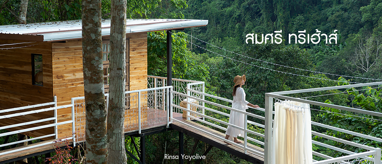 cover สมศรี ทรีเฮาส์ บ้านต้นไม้หนึ่งเดียวในปางไฮ