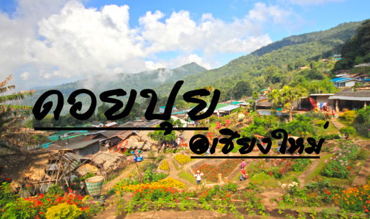 Cover ดอยปุย@เชียงใหม่...