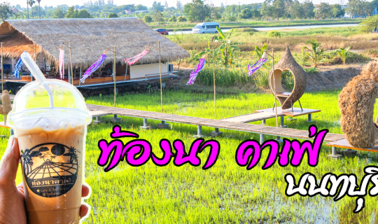 Cover ท้องนา คาเฟ่ นนทบุรี คาเฟ่ริมท้องนา กลางธรรมชาติทุ่งนาที่สดใส บรรยาก...