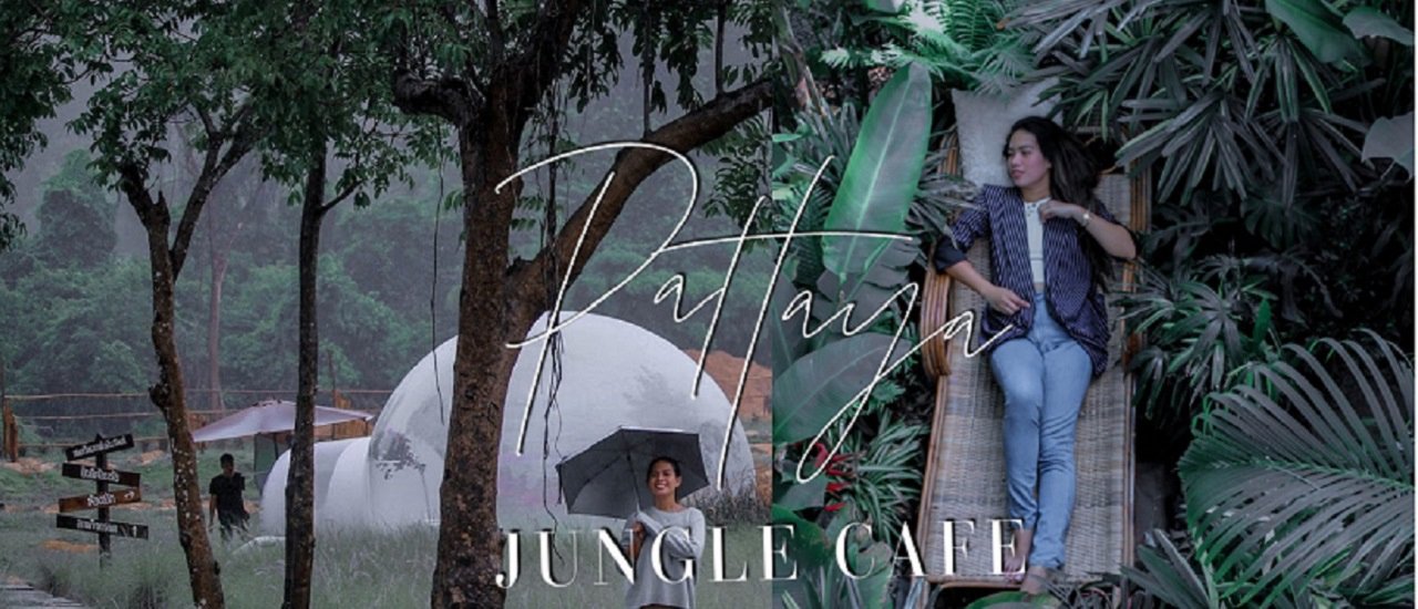 cover JUNGLE IN THE CITY SOMTAVIN CAFE AND MONGCHANG CAFE